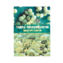 Набор «Тайны микробиологии» (Царство грибов) - fgospostavki.ru - Сергиев Посад